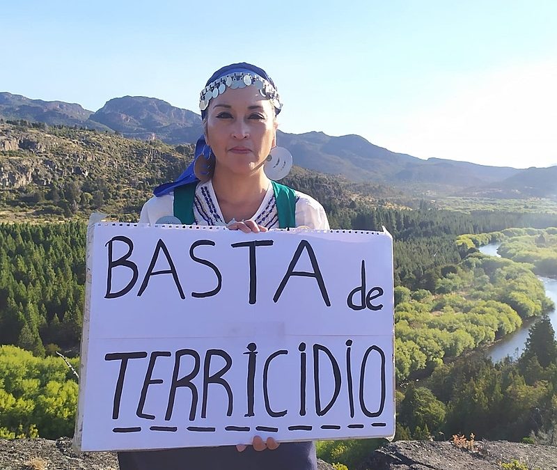 BRASIL DE FATO: Mulheres indígenas trilham 1200 km da Patagônia a Buenos Aires denunciando terricídio