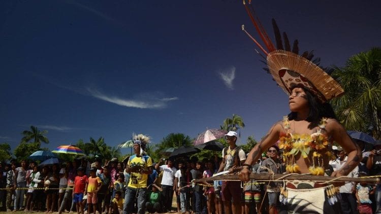 CNBB: INVESTIDORES CATÓLICOS PEDEM MAIS PROTEÇÃO PARA A AMAZÔNIA E PARA OS POVOS INDÍGENAS