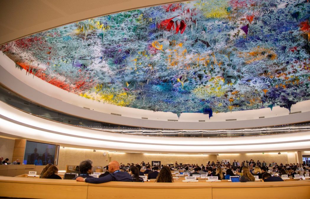 CIMI: Discriminação racial é o tema levado pelo Cimi nesta sexta (19) ao Conselho de Direitos Humanos da ONU