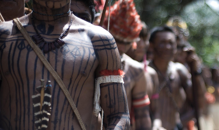 APIB: MPF pede atuação de forças federais para evitar conflito entre garimpeiros e indígenas em área Munduruku (PA)