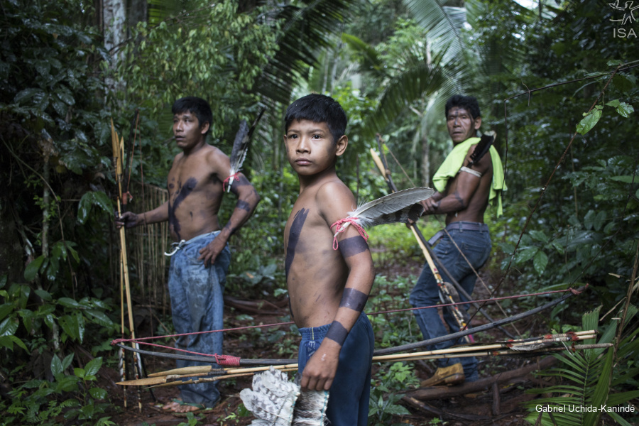 APIB: CNDH aprova recomendação para garantir direitos humanos de povos que habitam Terra Indígena Uru Eu Wau Wau