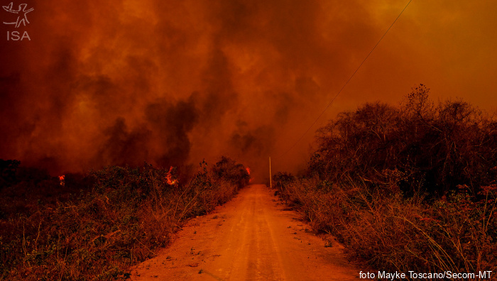 ISA: Empresas pecuaristas envolvidas em queimadas no Pantanal comercializam carne em escala global
