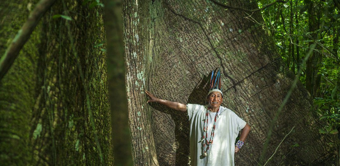 ONU: Los pueblos indígenas latinoamericanos sufren cada vez más presiones pese a su papel crucial contra el cambio climático