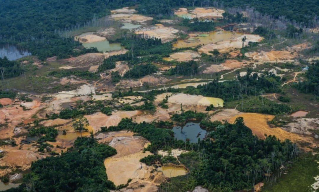 APIB: APIB pede que STF determine a retirada dos invasores da TI Yanomami