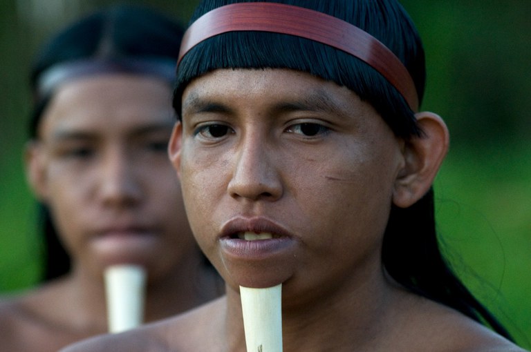 FUNAI: Com atuação interinstitucional da Funai, pista de pouso é homologada em Terra Indígena no Pará
