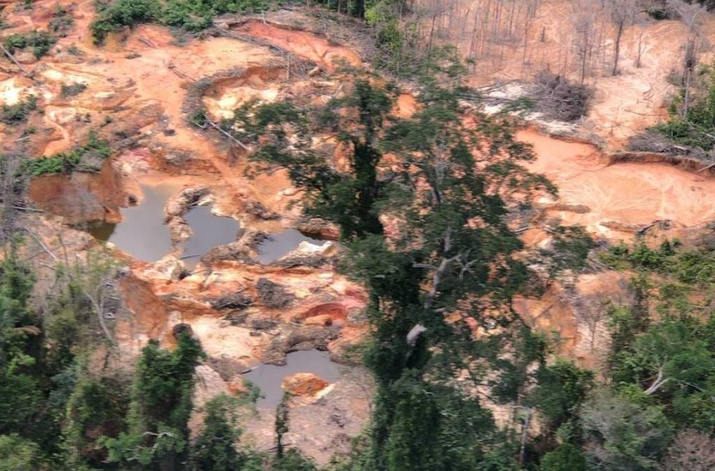 FOLHA DE SÃO PAULO: Diversidade sociocultural da Amazônia é essencial para soluções climáticas
