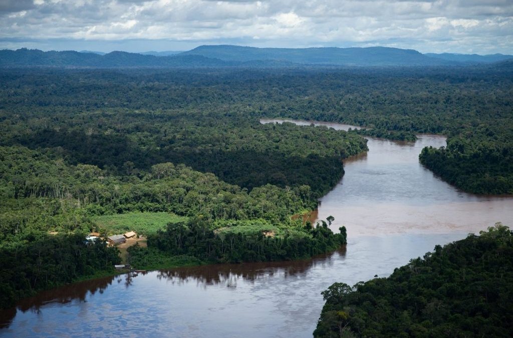 AMAZÔNIA NOTÍCIA E INFORMAÇÃO: AMAZÔNIA: INDÍGENAS VIVERAM NA FLORESTA POR 5 MIL ANOS SEM DESTRUIR BIOMA, MOSTRA ESTUDO