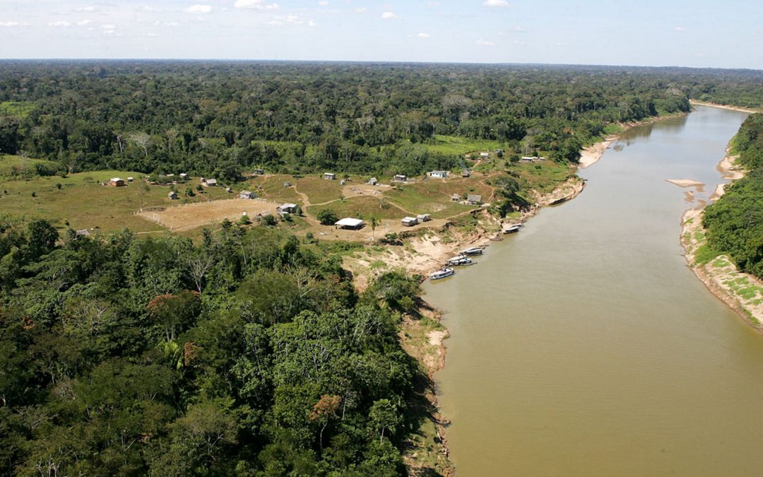 AMAZÔNIA NOTÍCIA E INFORMAÇÃO: PROJETO DE RODOVIA DEIXA EM RISCO OUTRA ÁREA INTOCADA DA AMAZÔNIA