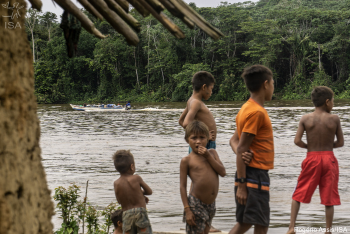 ISA: Terra Yanomami completa um mês sob ataques de garimpeiros e sem proteção do Estado
