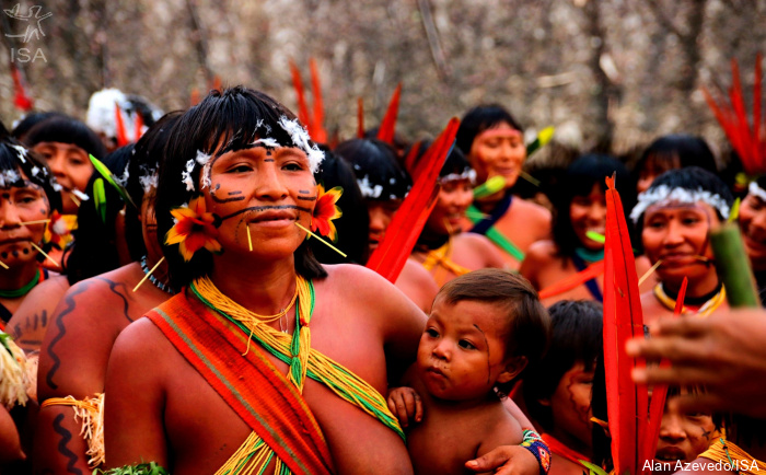ISA: Ehuana Yanomami, fortalecendo os conhecimentos tradicionais e defendendo seu território!
