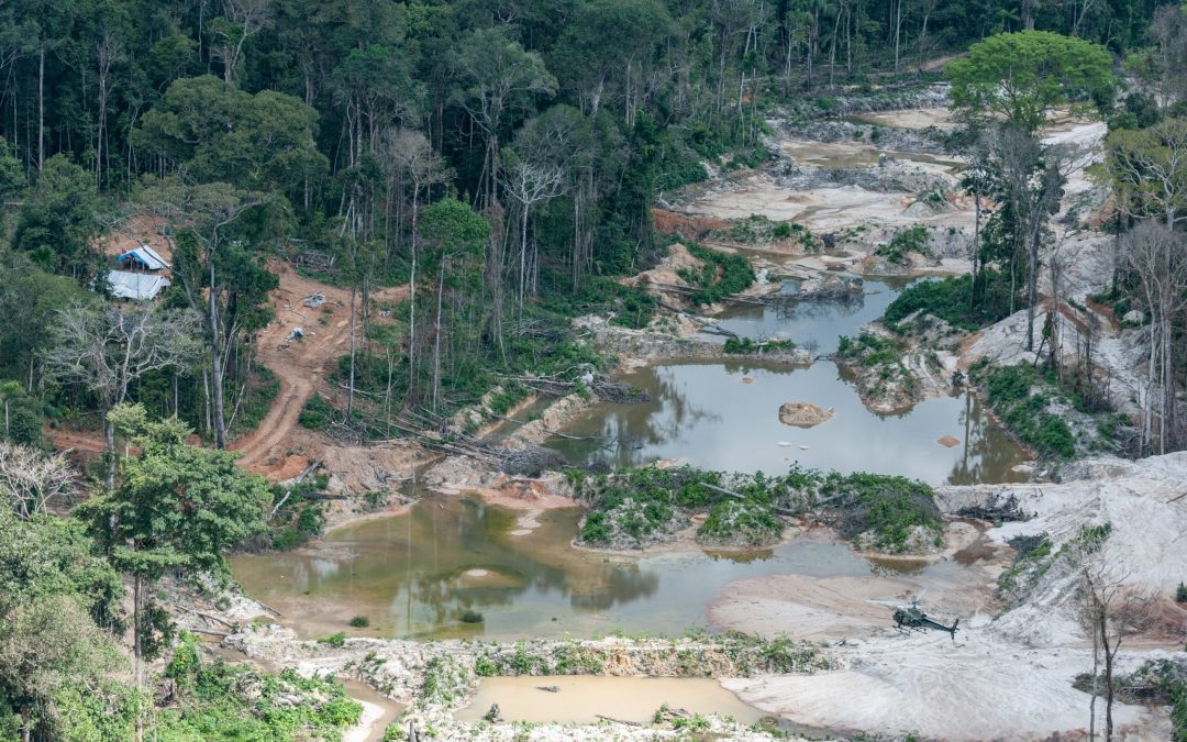 AGÊNCIA PÚBLICA: Acusados de garimpo ilegal em terra Munduruku pedem ao governo mineração no entorno da TI