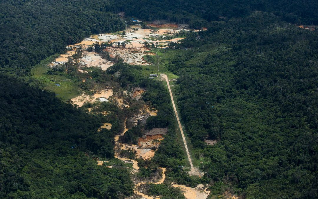 AMAZÔNIA REAL: Como um avião do garimpo atropelou e matou um Yanomami