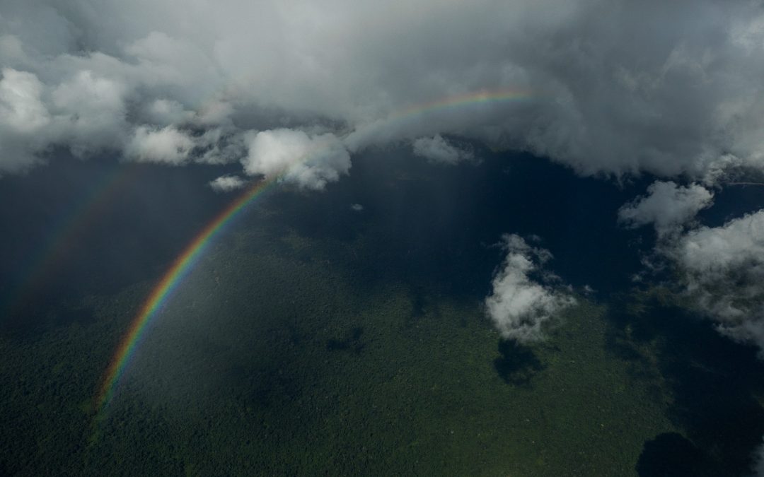 AMAZÔNIA REAL: IPCC: Floresta protegida e terras indígenas demarcadas são barreiras contra crise climática, dizem especialistas