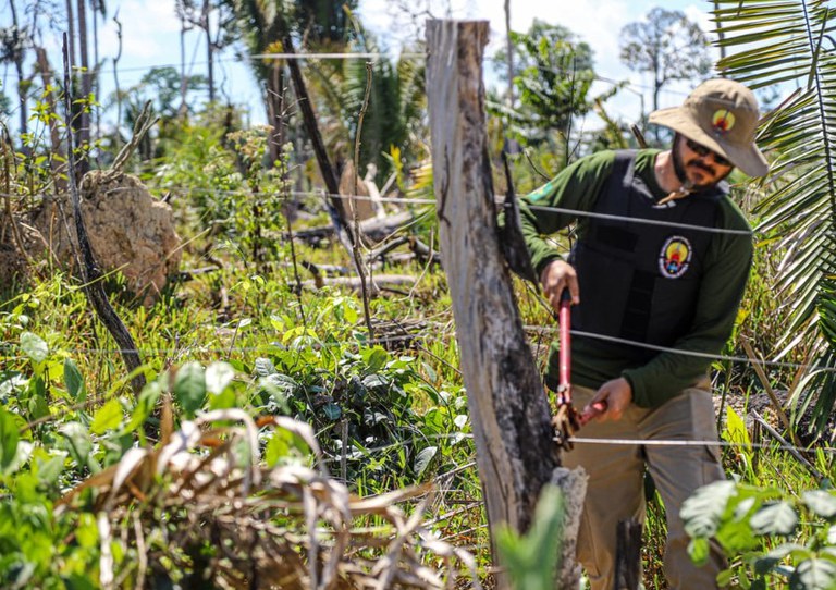 FUNAI: No Pará, servidores da Funai e militares derrubam abrigos e cercas de invasores em Terra Indígena