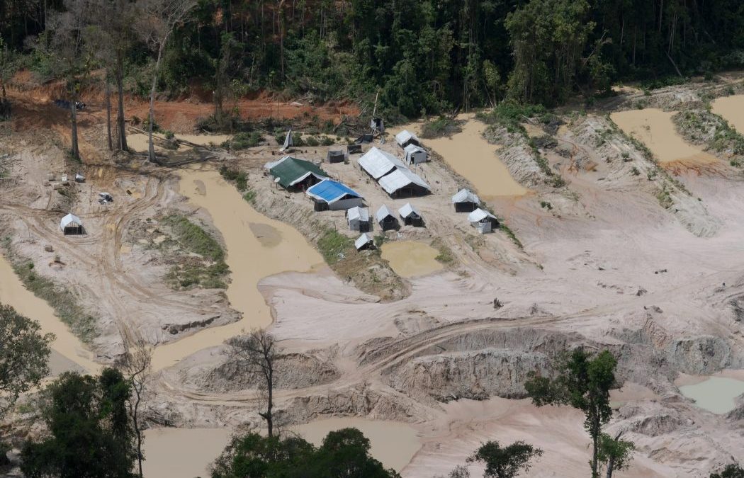 CIMI: Brasília comanda avanço de garimpos e desmatamento no Brasil (Parte II)