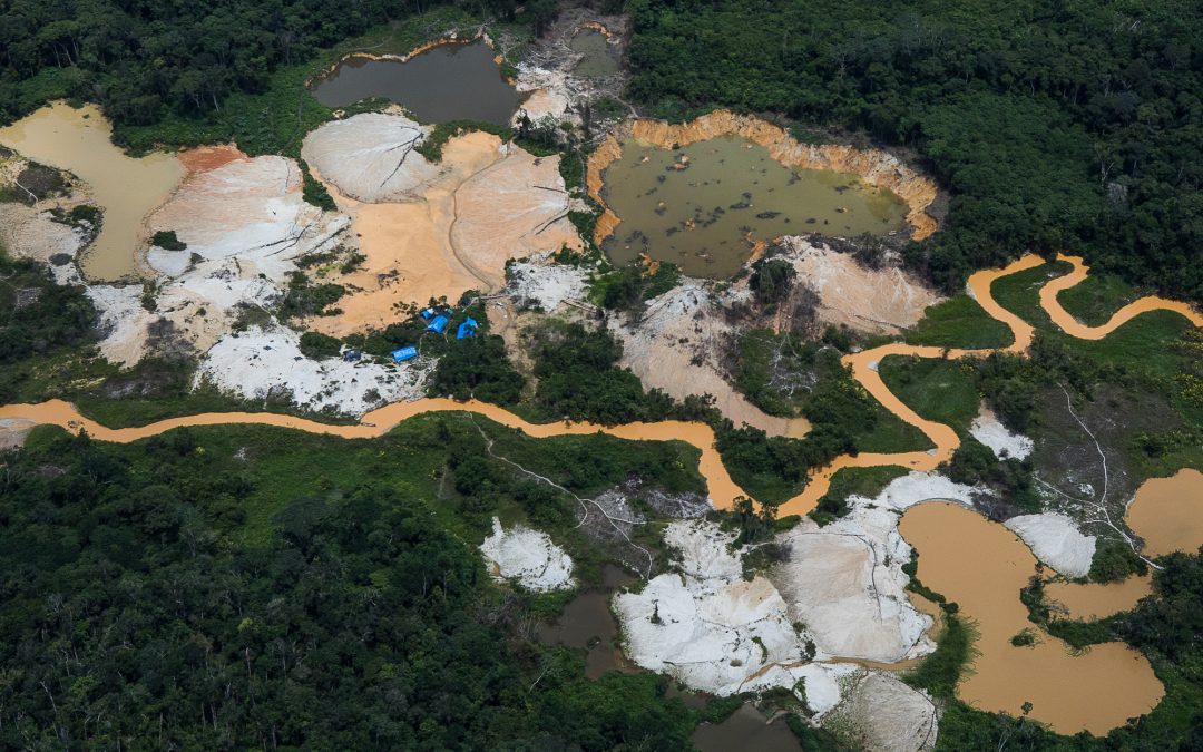 AMAZÔNIA REAL: ‘Ouro do Sangue Yanomami’ é finalista no Prêmio Patrícia Acioli de Direitos Humanos