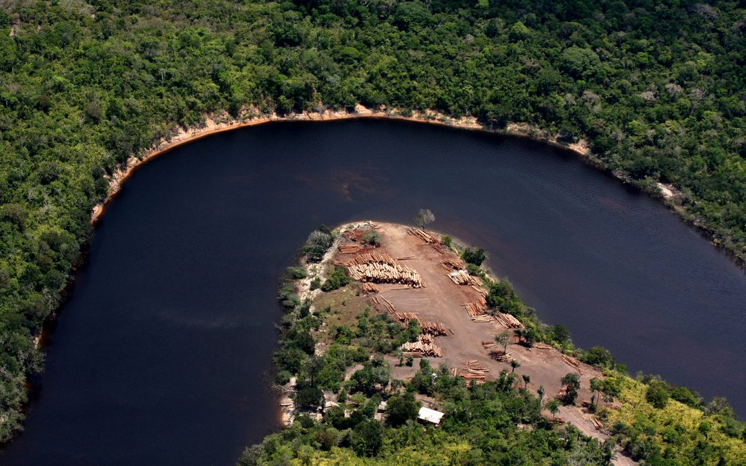 AMAZÔNIA REAL: Aprovação do marco temporal ‘premiará’ invasores de terras