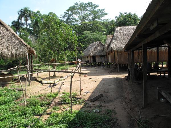 APIB: Povo indígena Wajuru enfrenta invasões e violência em Rondônia