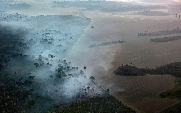 ISA: Organizações da sociedade civil questionam ‘Política Verde’ do Pará na COP 26