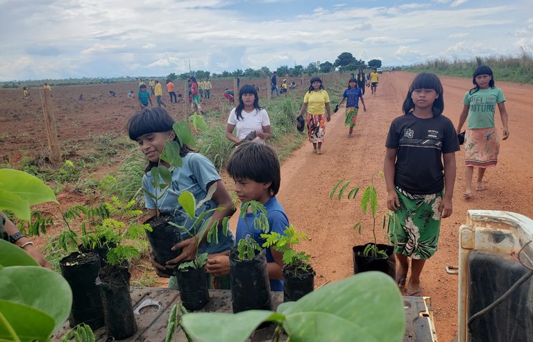 FUNAI: Funai apoia intercâmbio de brigada indígena e plantio de mudas frutíferas no Mato Grosso
