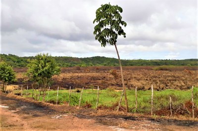 MPF: MPF pede na Justiça que União e Funai demarquem área de aldeia excluída do território indígena Potiguara, na Paraíba