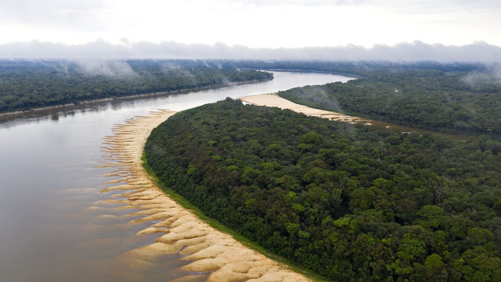 AMAZÔNIA NOTÍCIA E INFORMAÇÃO: ATIVIDADES PRODUTIVAS DE POVOS INDÍGENAS CONSERVAM DE 114 MILHÕES DE ÁRVORES NA AMAZÔNIA