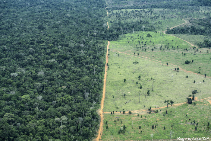 ISA: Desmatamento avança em Terras Indígenas com isolados