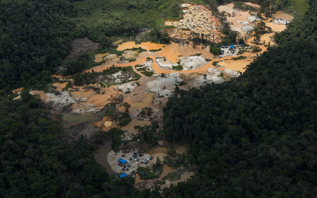 AMAZÔNIA REAL: Guerra ao garimpo ilegal