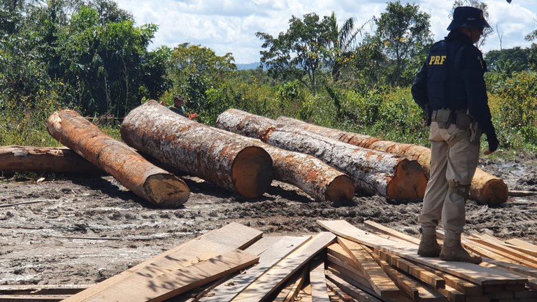 FUNAI: Com apoio da Funai, ação conjunta combate extração ilegal de madeira em Terra Indígena no Pará