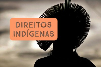 MPF: MPF processa governo federal para que combata com urgência o desmate na Terra Indígena Trincheira-Bacajá (PA)￼