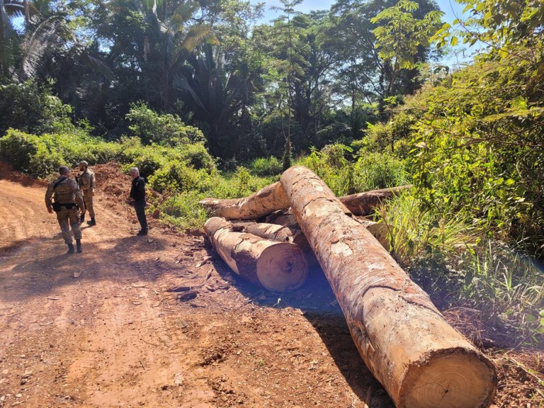 FUNAI: Com apoio da Funai, Polícia Federal deflagra operação contra desmatamento e garimpo ilegal em Terras Indígenas de Rondônia
