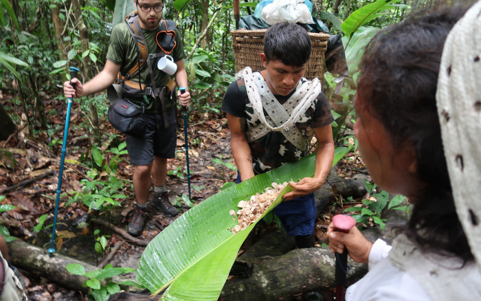 ISA: Anfitriões Yanomami começam a receber turistas no Yaripo, o Pico da Neblina