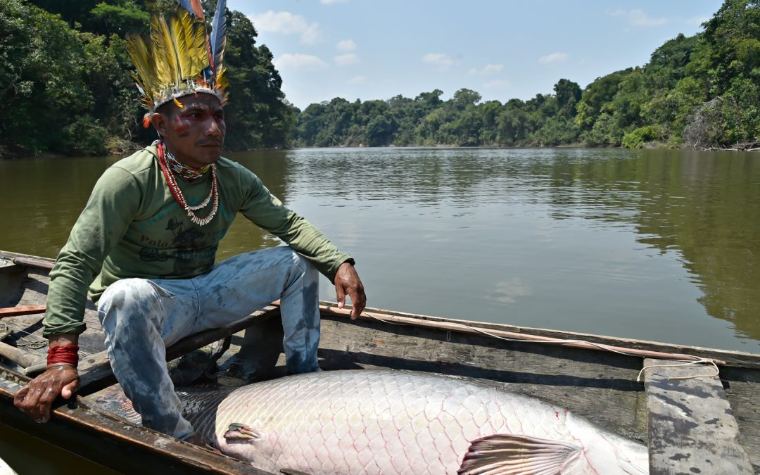AMAZÔNIA REAL: Como os indígenas preservam o pirarucu