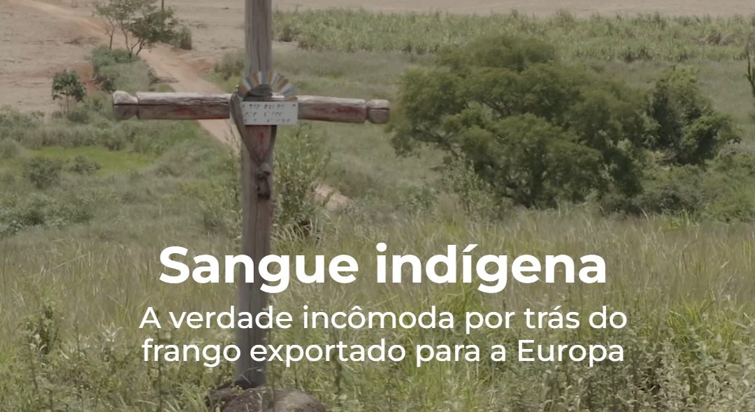 DE OLHO NOS RURALISTAS: De Olho nos Ruralistas e Earthsight lançam relatório sobre violações contra Guarani Kaiowá no MS