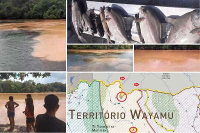 MPF: Peixes mortos e águas turvas deixam indígenas sem alimento no rio Mapuera (PA). MPF pediu medidas de emergência￼