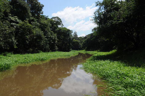 AGÊNCIA PÚBLICA: VALE DO JAVARI TEVE MULTA RECORDE POR PESCA ILEGAL DE PIRARUCU NO AMAZONAS