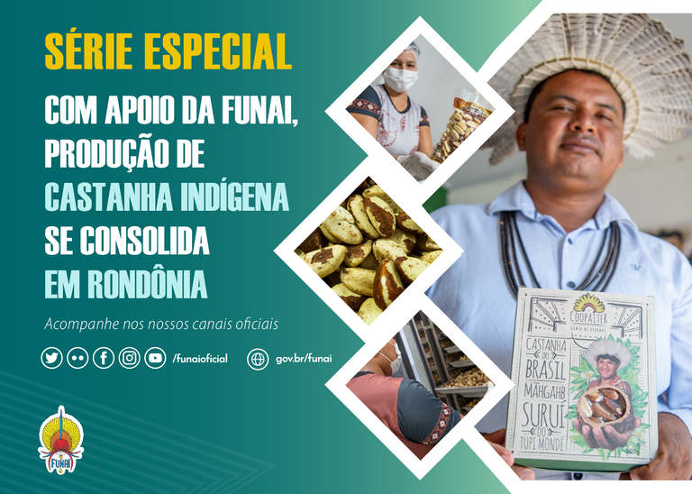 FUNAI: Série Especial: Com apoio da Funai, indígenas geram emprego e renda com a produção de castanha do Brasil