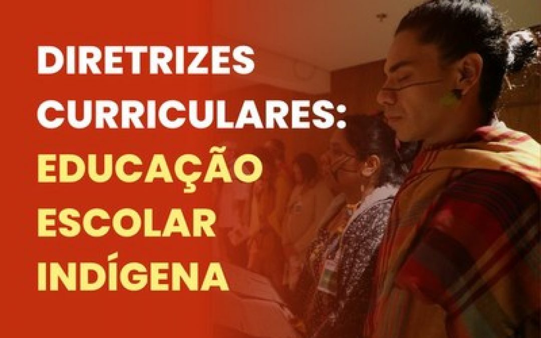 MPF: Grupo de trabalho apresenta as Diretrizes Curriculares de Educação Escolar Indígena do Estado de São Paulo