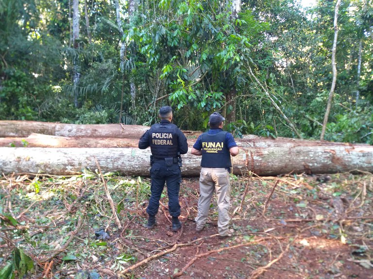 FUNAI: Órgãos Federais combatem crimes ambientais na Terra Indígena Uru-Eu-Wau-Wau em Rondônia