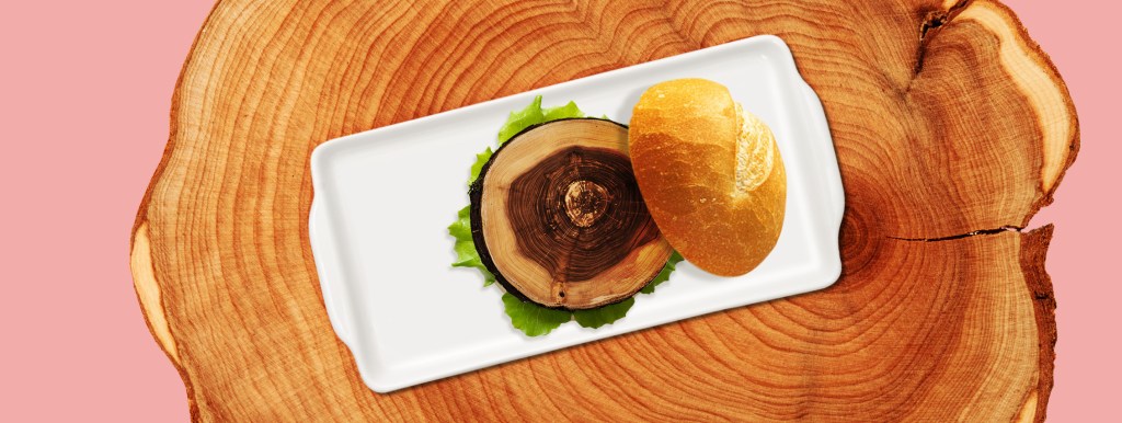 DE OLHO NOS RURALISTAS: Madero: o hambúrguer com sabor de desmatamento