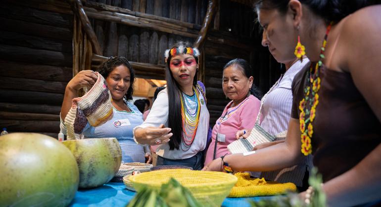 ONU: Mujer, cuerpo y territorio: encuentro de mujeres lideresas en la amazonía ecuatoriana