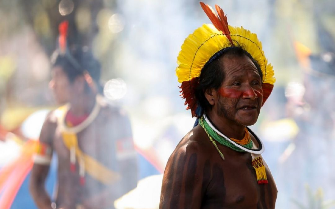RBA: ‘Vidas indígenas estão em situação calamitosa’, lamenta presidente da SBPC