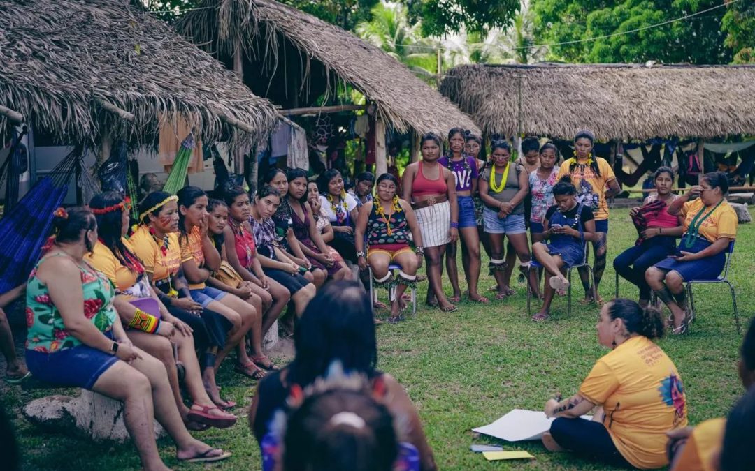 COMIN: Em caravana, mulheres indígenas irão percorrer a região Sul do país