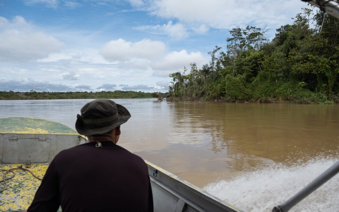 AMAZÔNIA REAL: Testemunhas dos assassinatos de Bruno e Dom pedem proteção