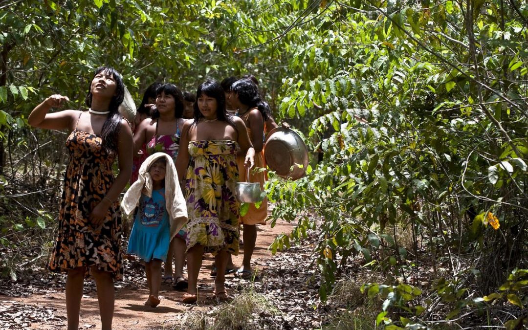 ISA: Estudo comprova que Povos Indígenas e Tradicionais são essenciais para a preservação das florestas