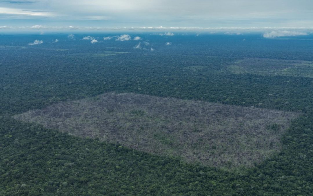 ISA: Desmatamento e pedidos de mineração disparam em Terras Indígenas com isolados no Mato Grosso