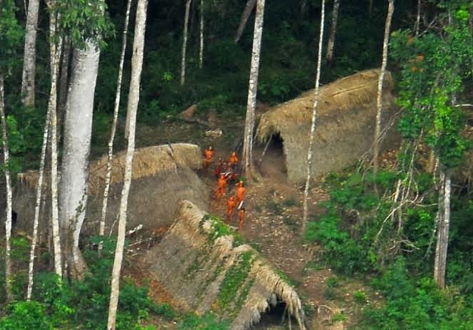AMAZÔNIA NOTÍCIA E INFORMAÇÃO: UNIÃO NEGA OMISSÃO EM PROTEGER INDÍGENAS ISOLADOS E RECÉM-CONTATADOS