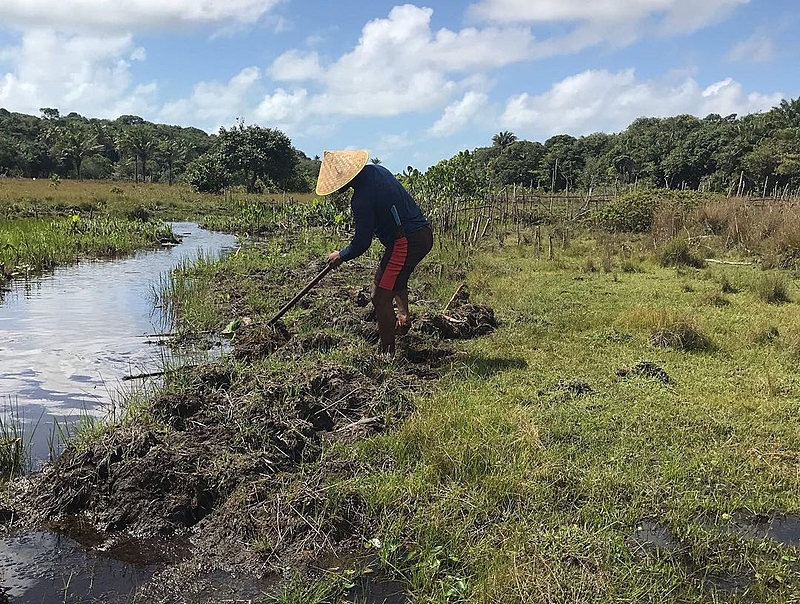 BRASIL DE FATO: Na Paraíba, projeto realizado por indígenas recupera rio que estava há 40 anos sem vida