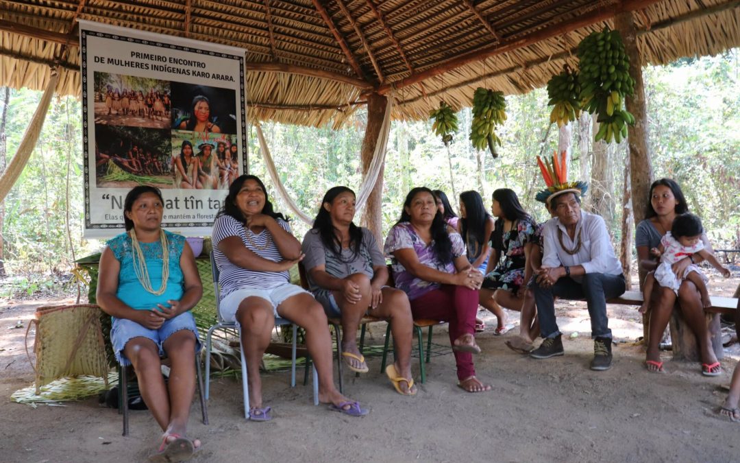 COMIN: Naxo pat tîn tap: mulheres Karo Arara em defesa da floresta em pé￼