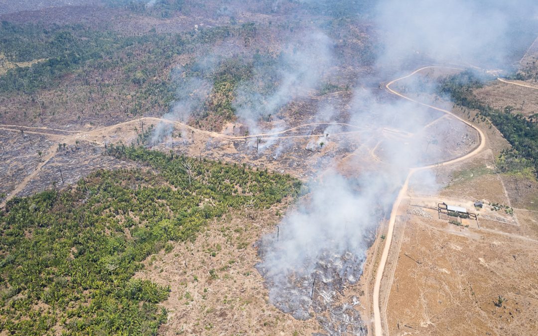 AMAZÔNIA REAL: Brasil: meio ambiente sob ataque no governo Bolsonaro